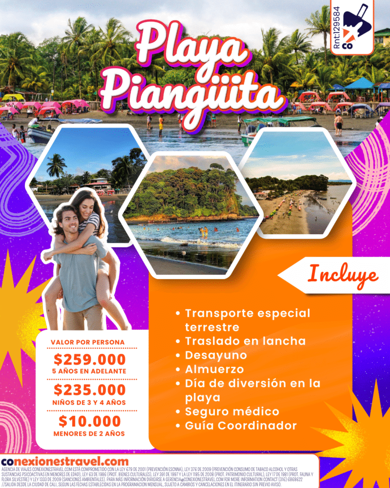 Playa pianguita