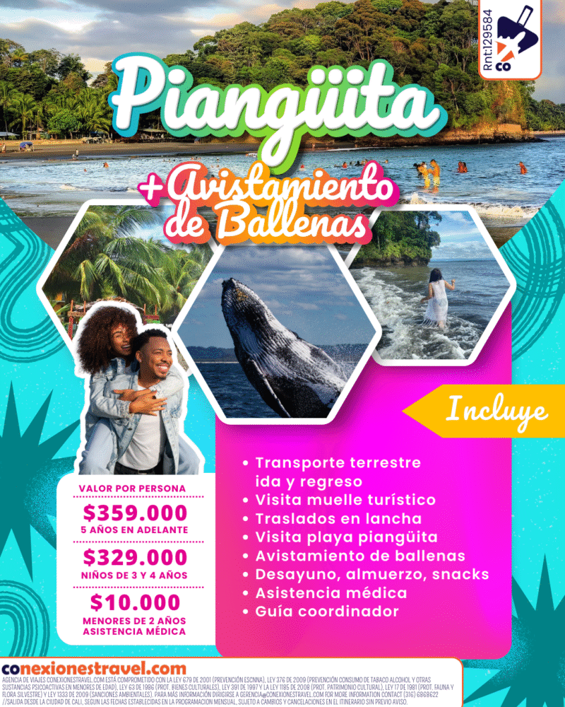 Pianguita + Avistamiento de ballenas